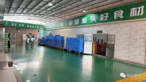 奮戰(zhàn)百千萬工程 廣東供銷農產品直供配送臺山服務中心揭牌成立