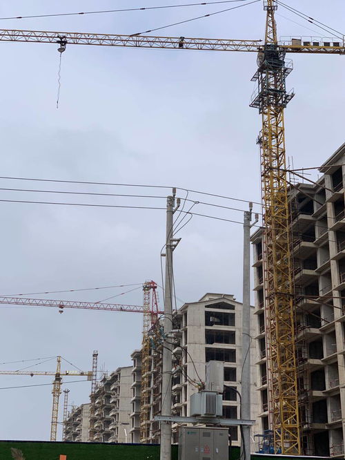 案例分析 裕鴻公司拖欠工程機(jī)械 塔吊 租賃費(fèi)哪個(gè)部門管