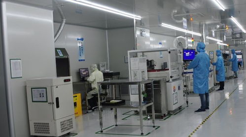 龍崗區(qū)委領(lǐng)導(dǎo)視察安培龍